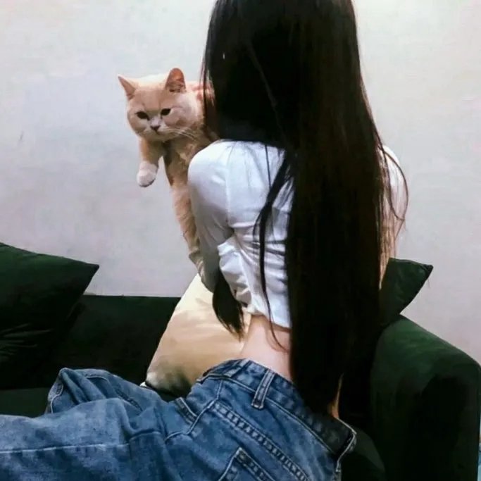 长风少年词
